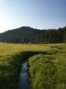 A small section of Beaver Creek near Pringle, South Dakota.